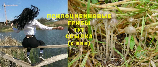 твердый Приозерск
