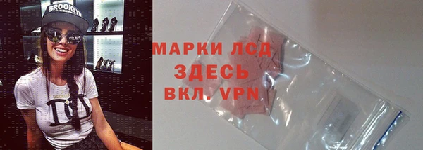 spice Богородицк