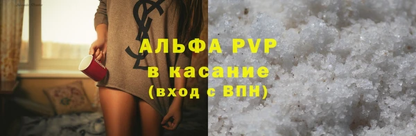 spice Богородицк