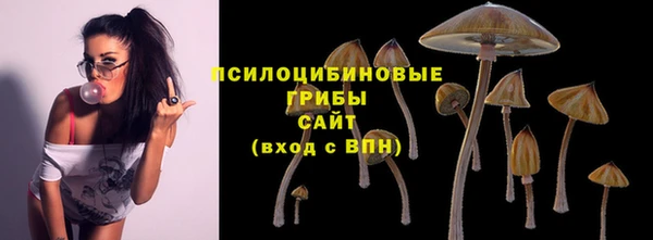 дурь Белоозёрский