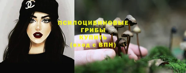 прущий лед Богданович
