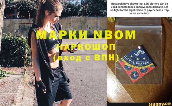 прущий лед Богданович