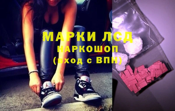прущий лед Богданович