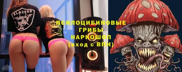 spice Богородицк