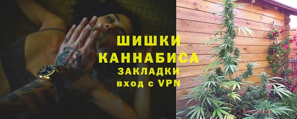 spice Богородицк