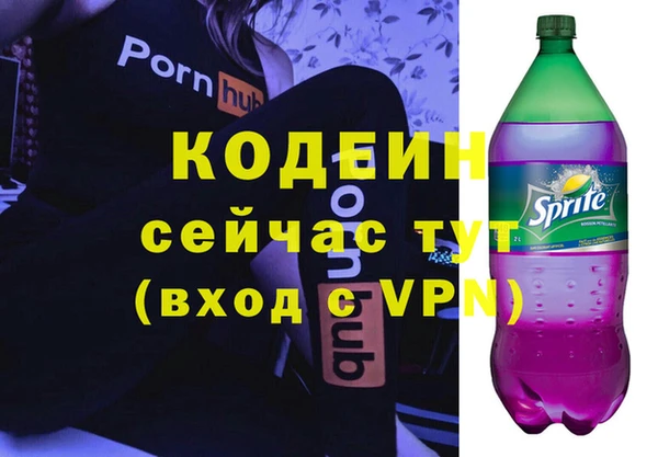 прущий лед Богданович