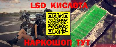 стафф Аргун