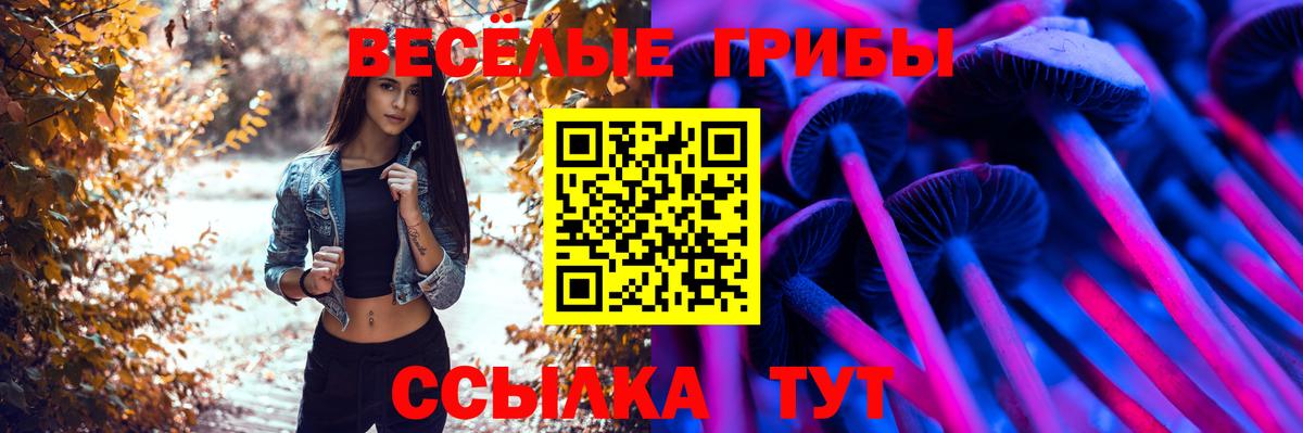 Галлюциногенные грибы Psilocybe Бузулук